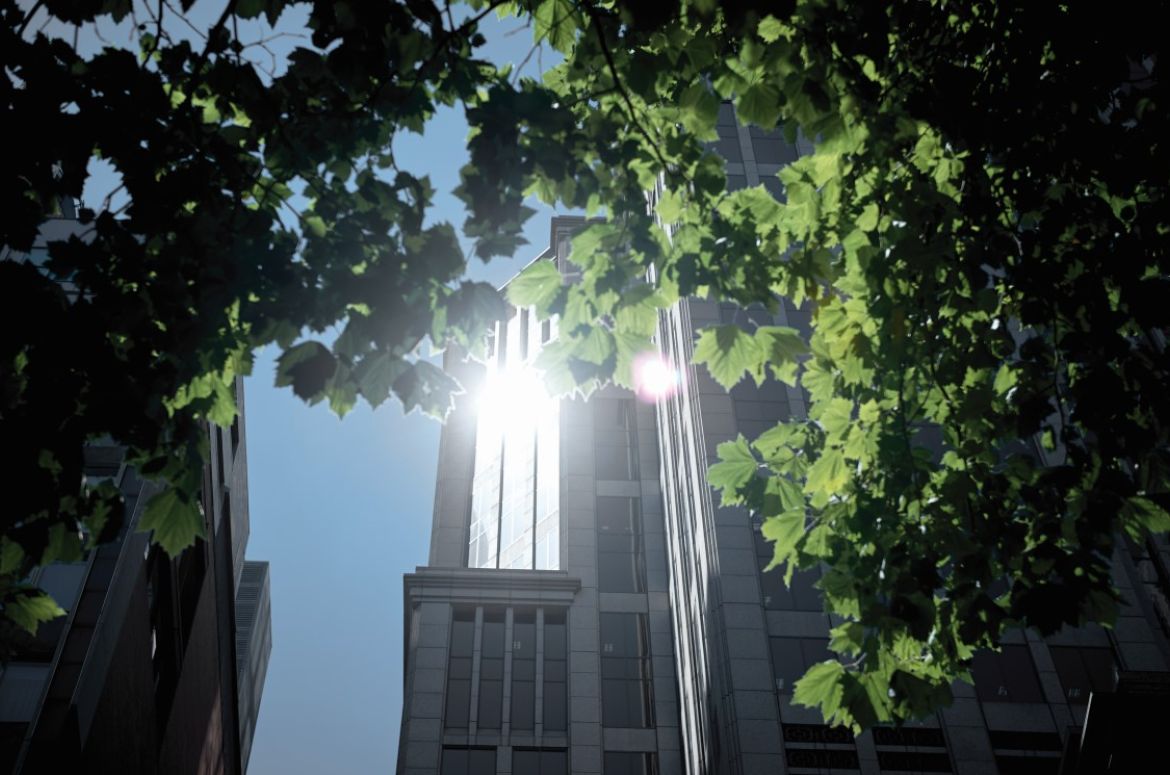 333 Collins building with tree and sun v3