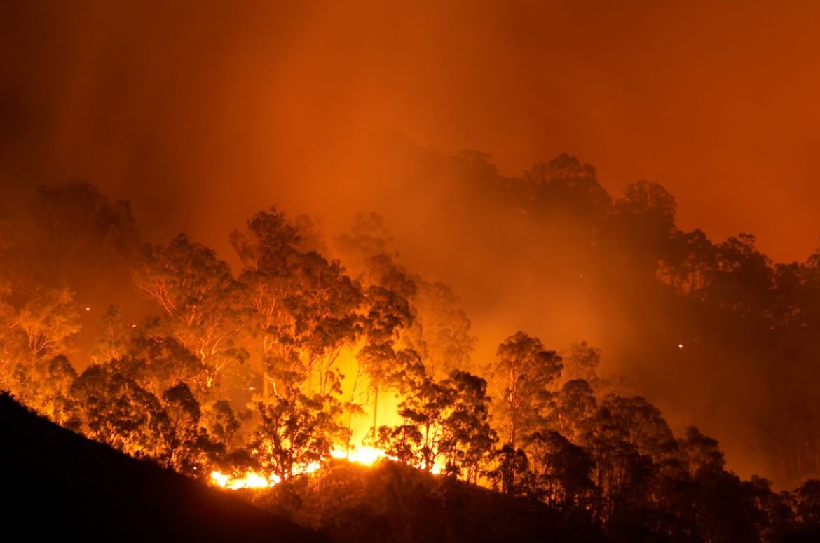 Australian bushfire