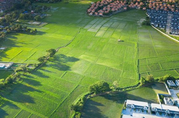 Cultivated land and land plot or land lot in aerial view