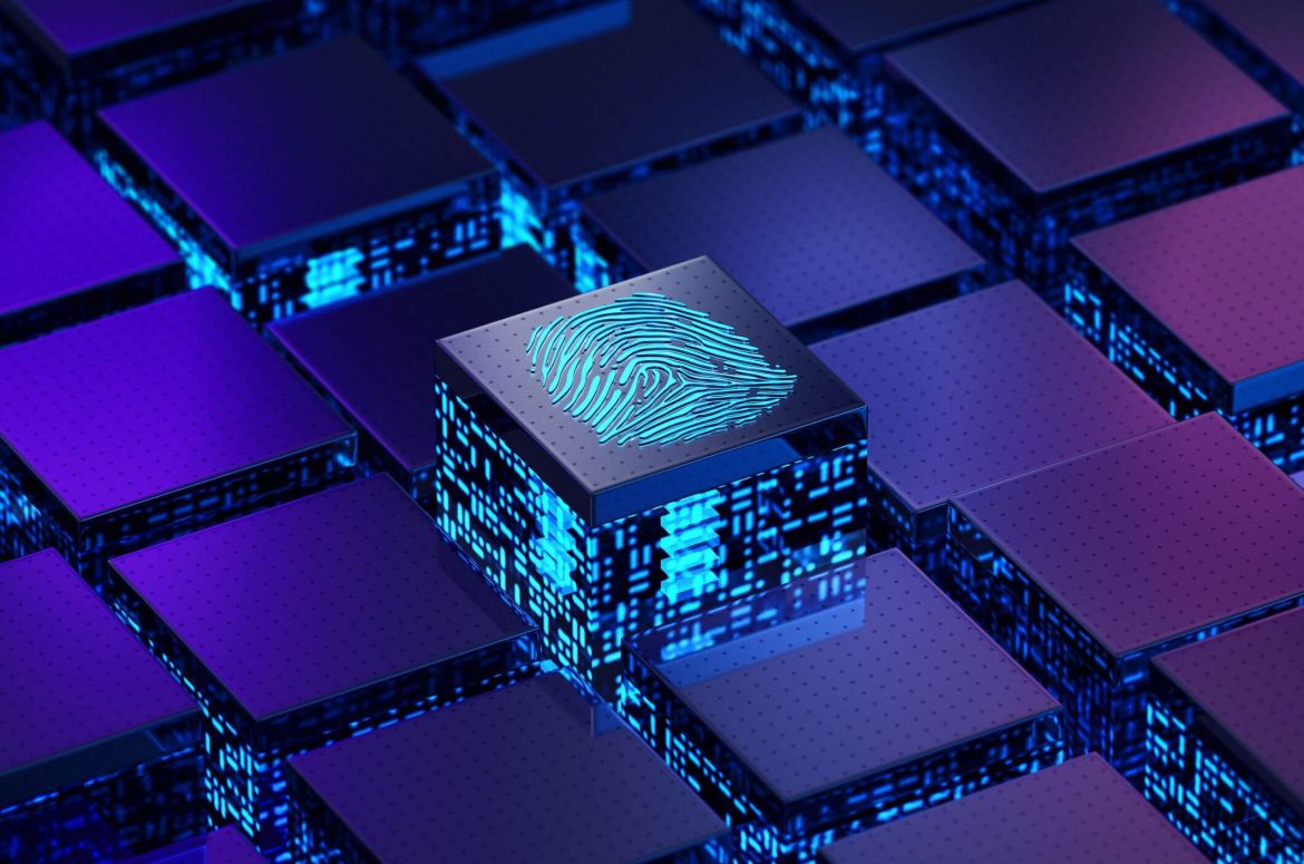 Fingerprint Network Security Concept