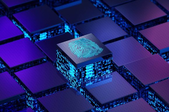 Fingerprint Network Security Concept