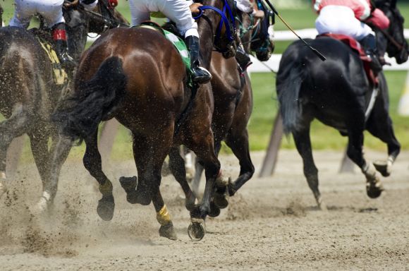 horse racing