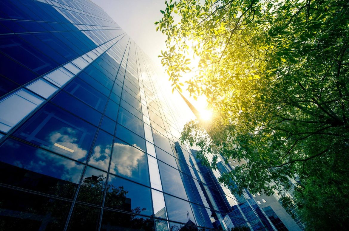 Office skysraper in the sun