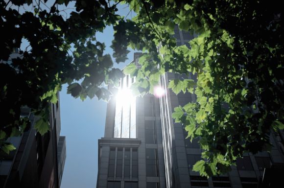 333 Collins building with tree and sun v3