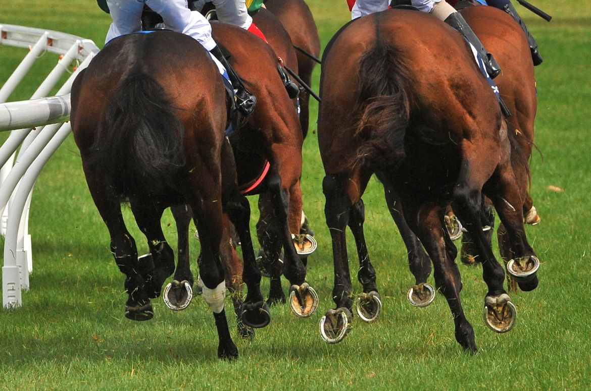 Arnold Bloch Leibler guides Betrs 15m capital raising for TopSport acquisition website