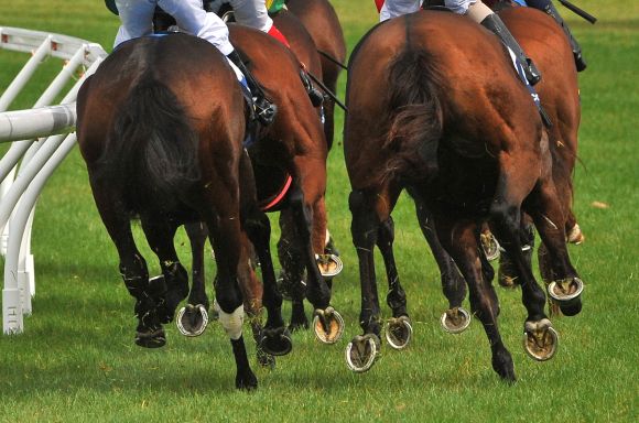Arnold Bloch Leibler guides Betrs 15m capital raising for TopSport acquisition website