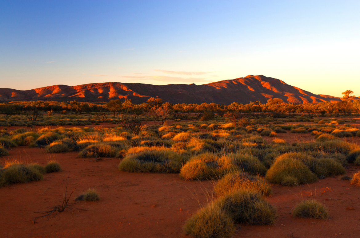 Managing Native Title Benefits Web