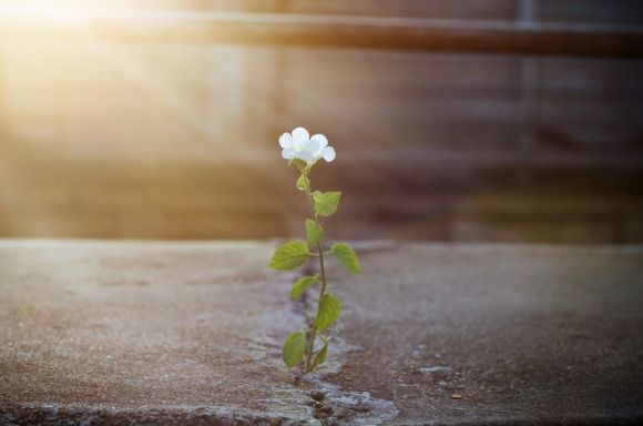 Succession and estate planning iStock 513313438