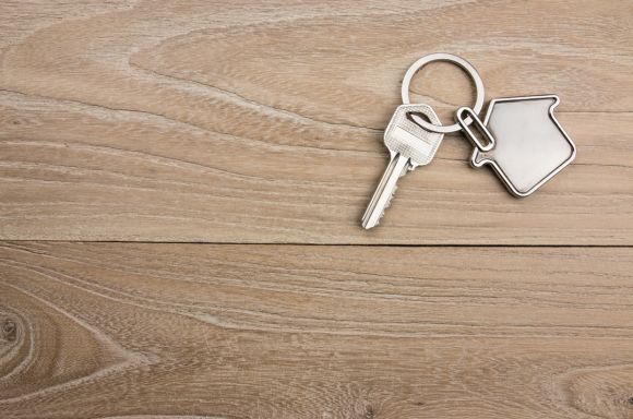 houseshaped key in the wood picture id630960456