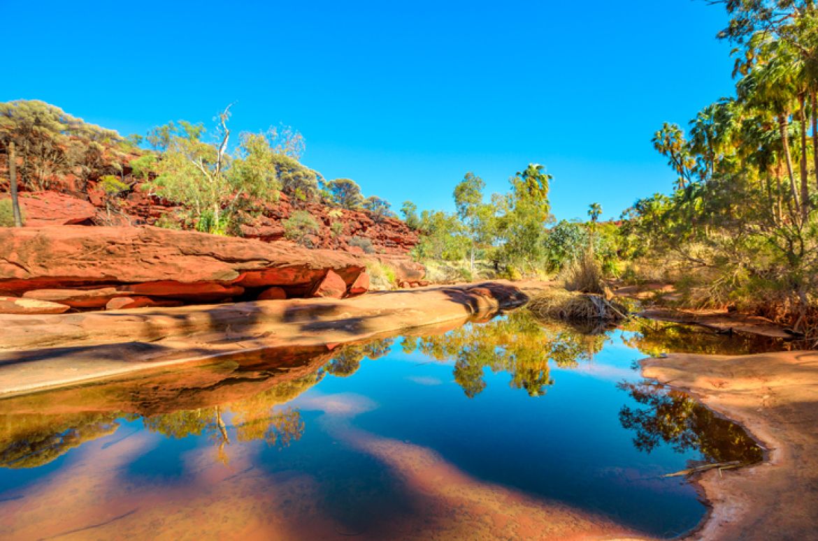 Finke Gorge National Park Northern Territory