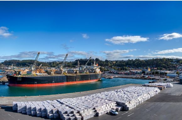 panoramic view of the port of burnie in tasmania australia picture id1220787146